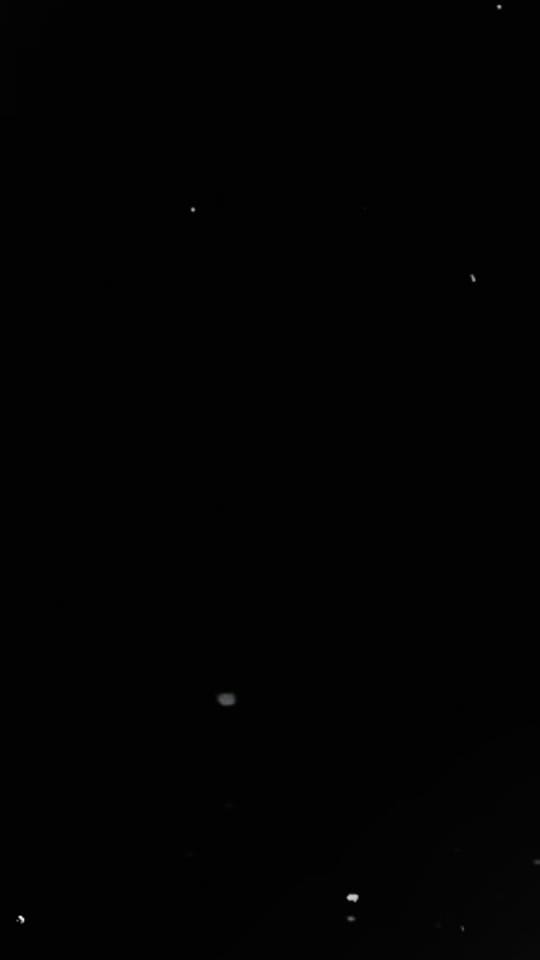 Post 1 by Emily on TikTok (video)
