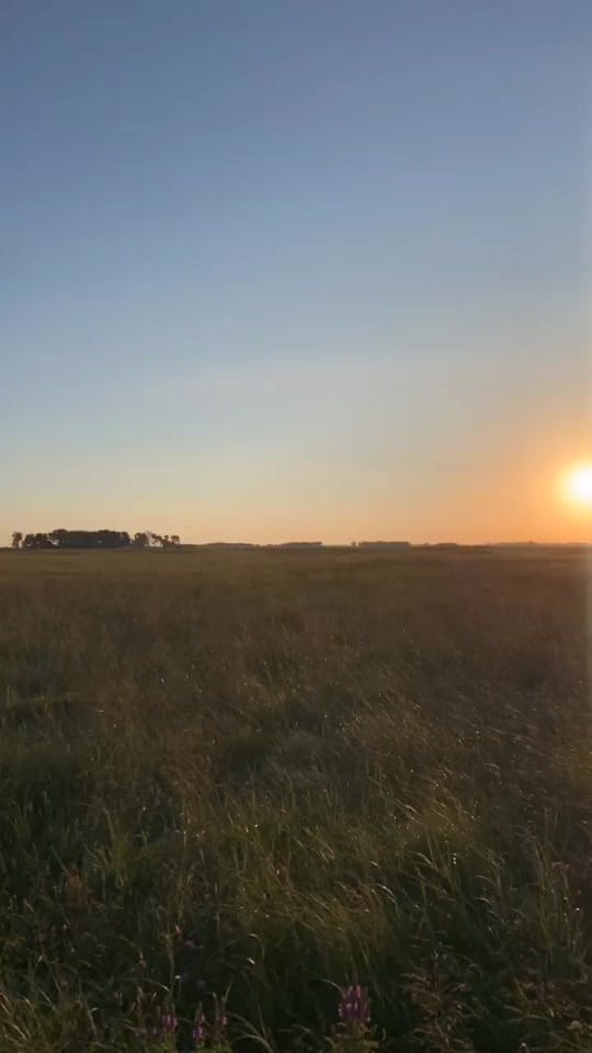 Post 9 by Emily on TikTok (video)