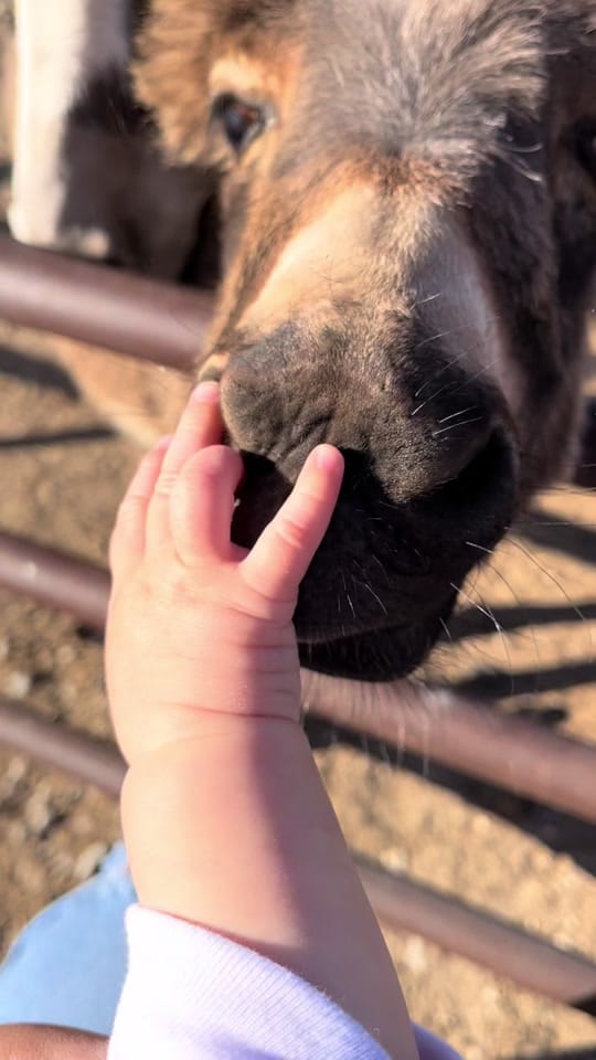 Post 3 by Emily on TikTok (video)