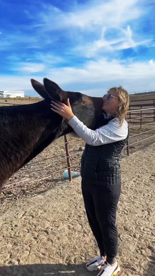 Post 6 by Emily on TikTok (video)