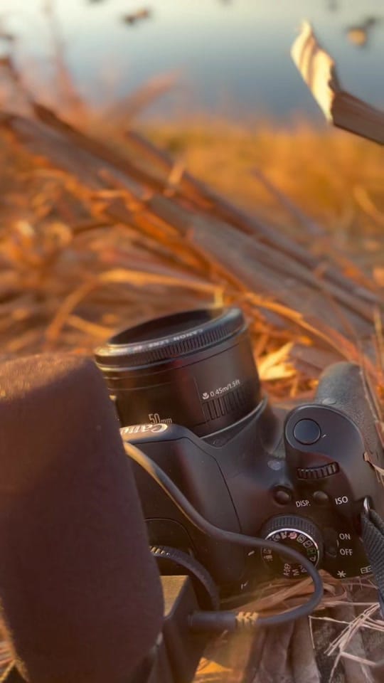 Post 6 by Droseoutdoors on TikTok (video)