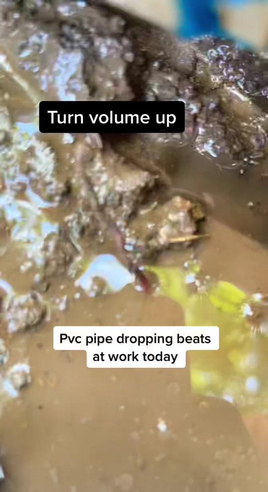 Post 2 by Droseoutdoors on TikTok (video)