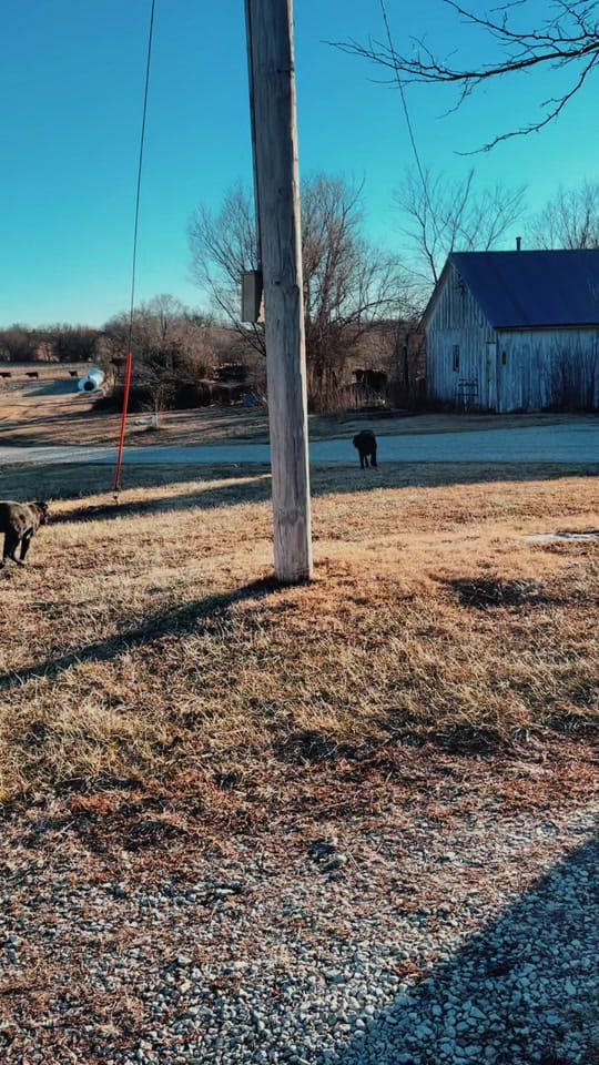 Post 8 by Droseoutdoors on TikTok (video)