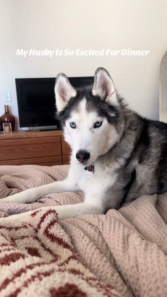 Post 8 by Lex on TikTok (video)