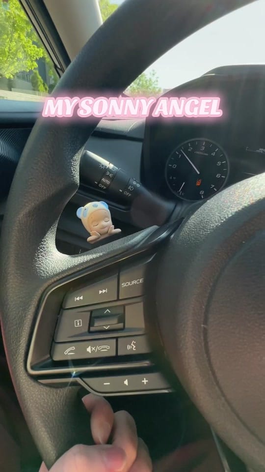 Post 1 by Lex on TikTok (video)