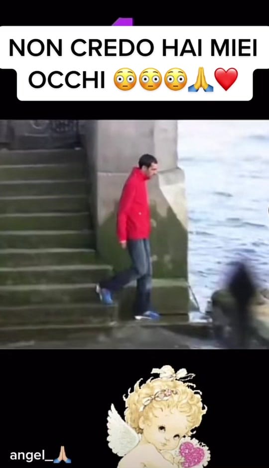 Post 10 by Massimopetshop.ⓄⒻⒻⒾⒸⒾⒶⓁ on TikTok (video)