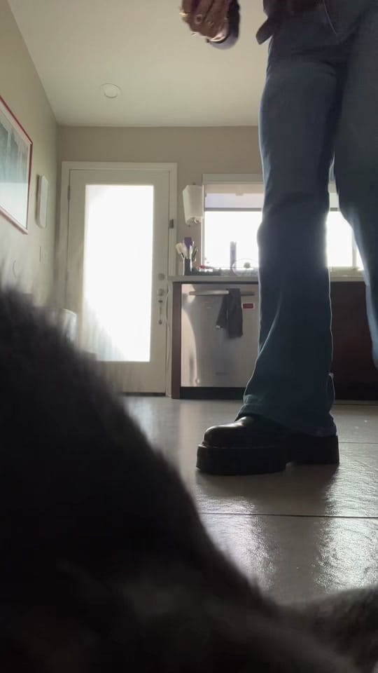 Post 6 by nicole on TikTok (video)