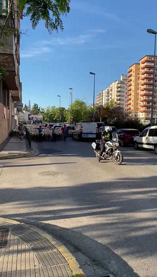 Post 8 by Pastores Grupo Cooperativo on TikTok (video)