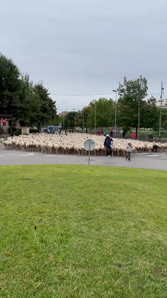 Post 2 by Pastores Grupo Cooperativo on TikTok (video)