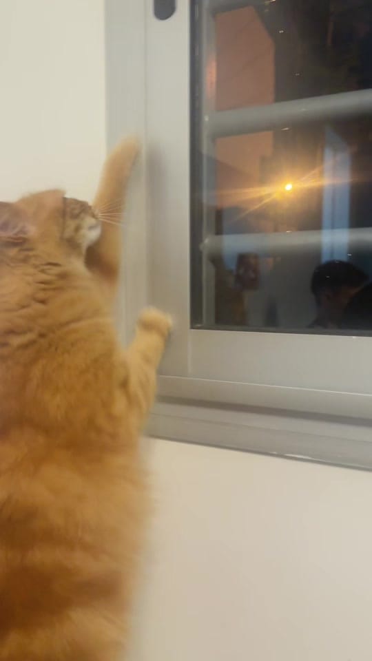 Post 10 by Mile Sol🧜🏻‍♀️ on TikTok (video)