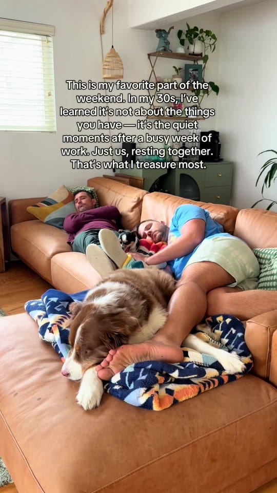 Post 4 by daanjansen100 on TikTok (video)