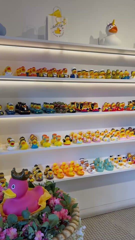 Post 3 by Madrid Duck Store on TikTok (video)