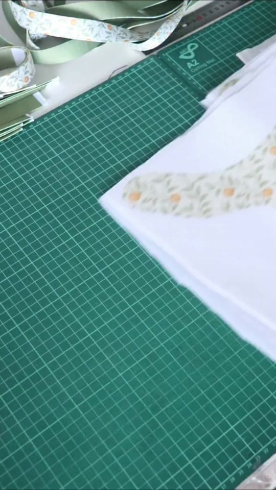 Post 3 by CaponeTheDog_shop on TikTok (video)