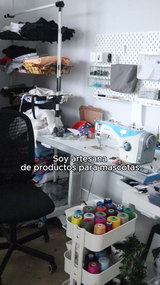 Post 9 by CaponeTheDog_shop on TikTok (video)