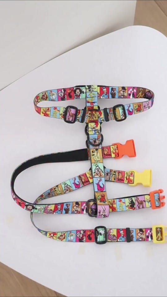Post 4 by CaponeTheDog_shop on TikTok (video)