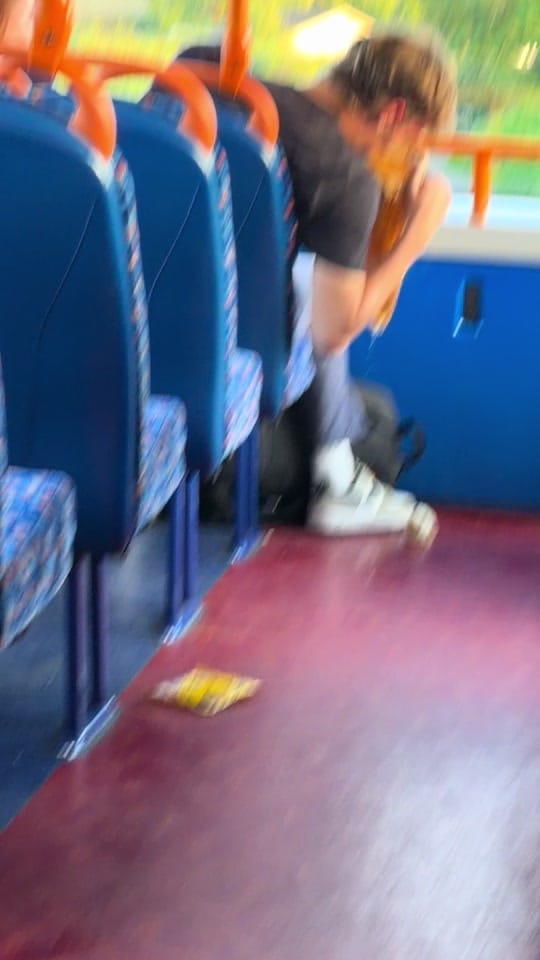 Post 4 by Jamie Lee on TikTok (video)
