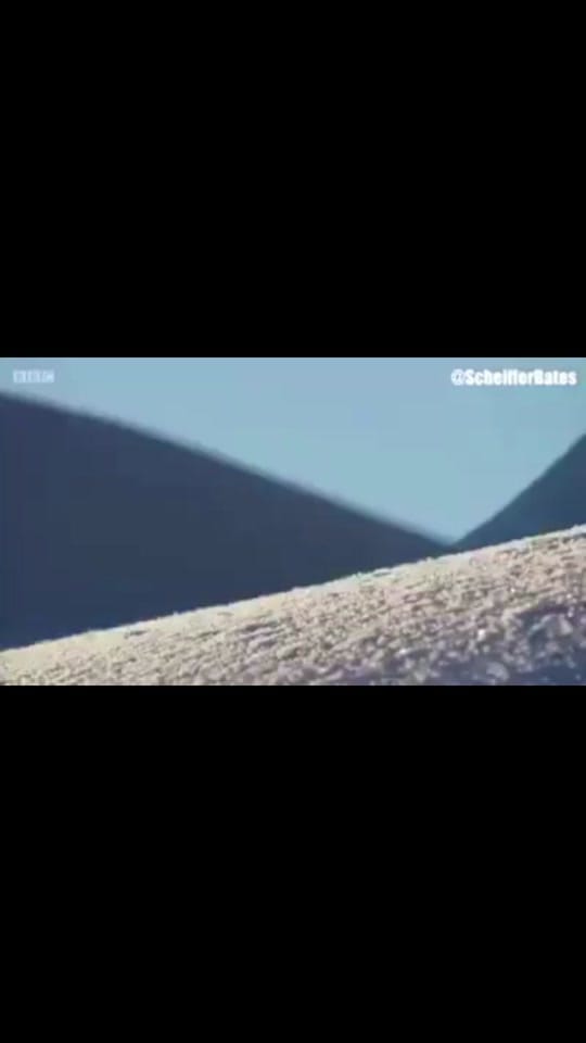 Post 9 by Jamie Lee on TikTok (video)