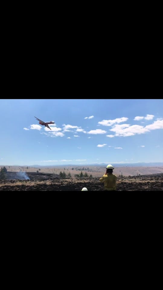 Post 9 by Wildland fire on TikTok (video)