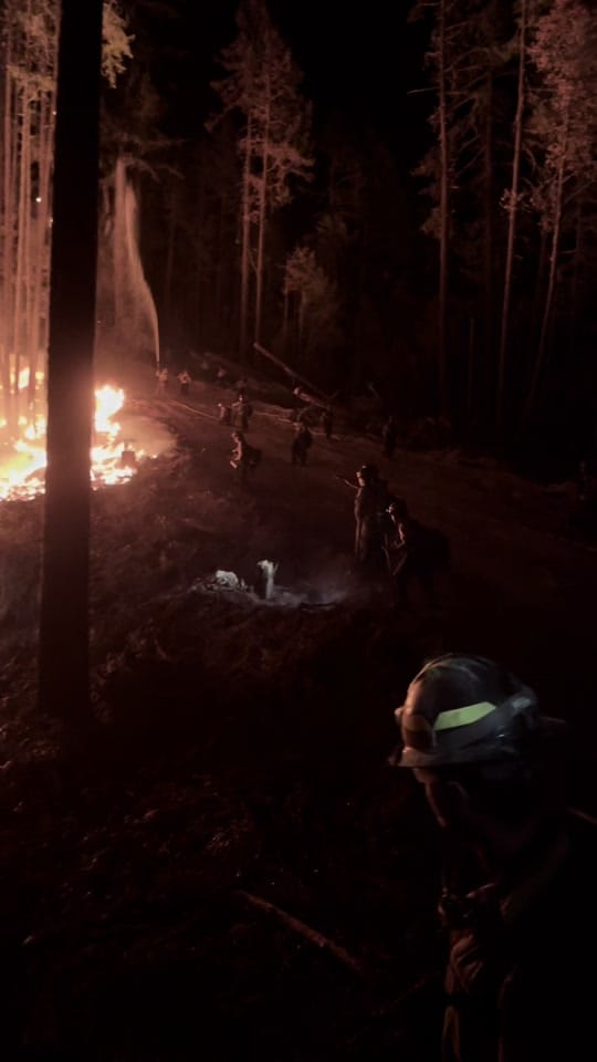 Post 4 by Wildland fire on TikTok (video)