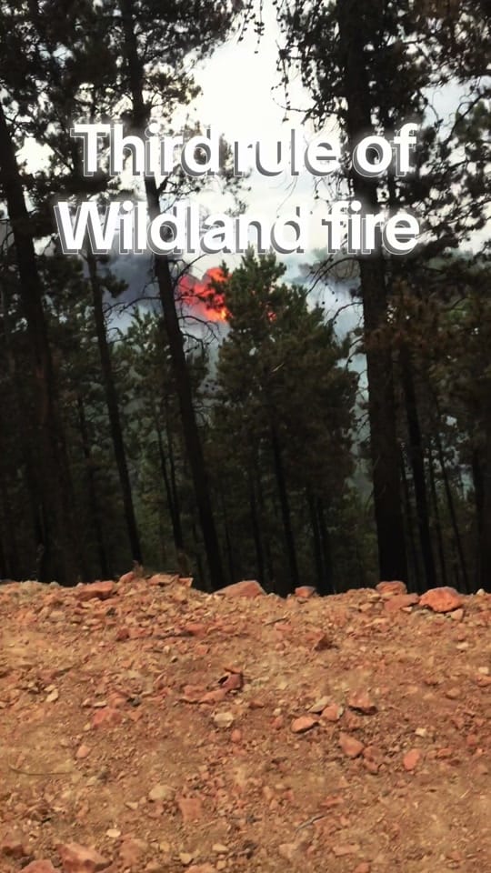 Post 6 by Wildland fire on TikTok (video)