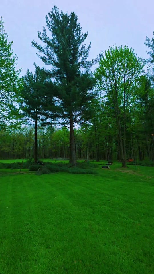 Post 7 by MyThinBlueLife on TikTok (video)
