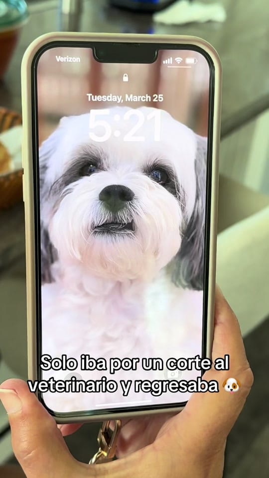Post 7 by josemiguelnavram on TikTok (video)