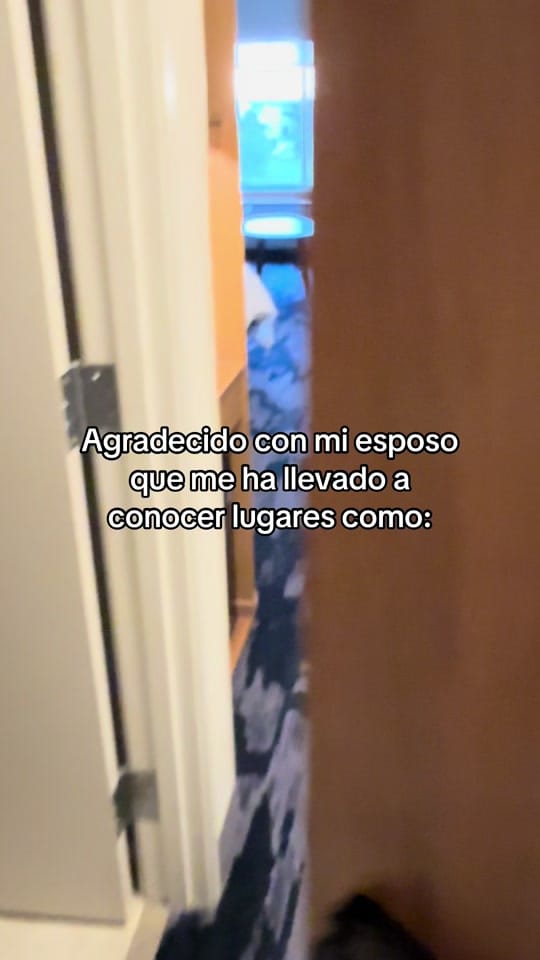 Post 5 by josemiguelnavram on TikTok (video)