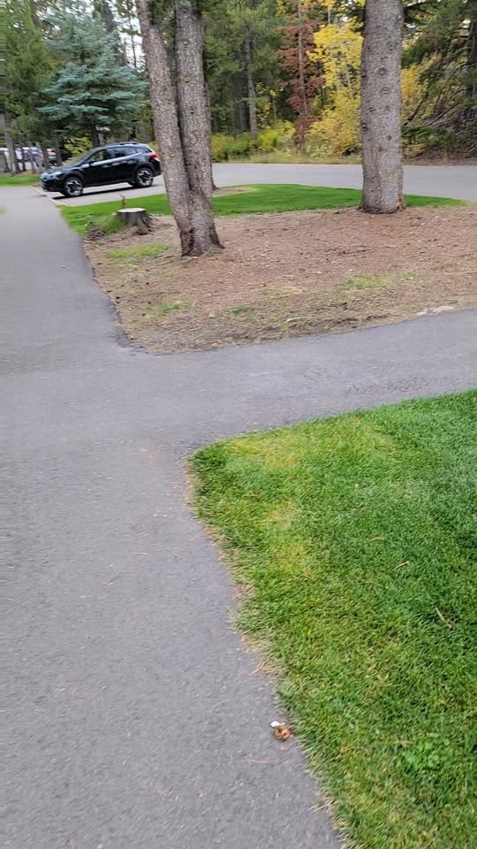 Post 8 by Kelly M on TikTok (video)