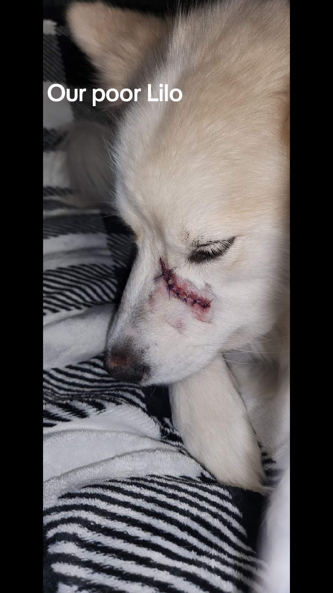 Post 7 by Kelly M on TikTok (video)