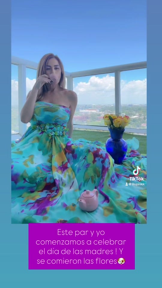 Post 4 by Lilubeth Vilera on TikTok (video)