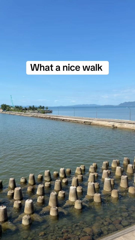 Post 10 by Steven&Gera-ph on TikTok (video)