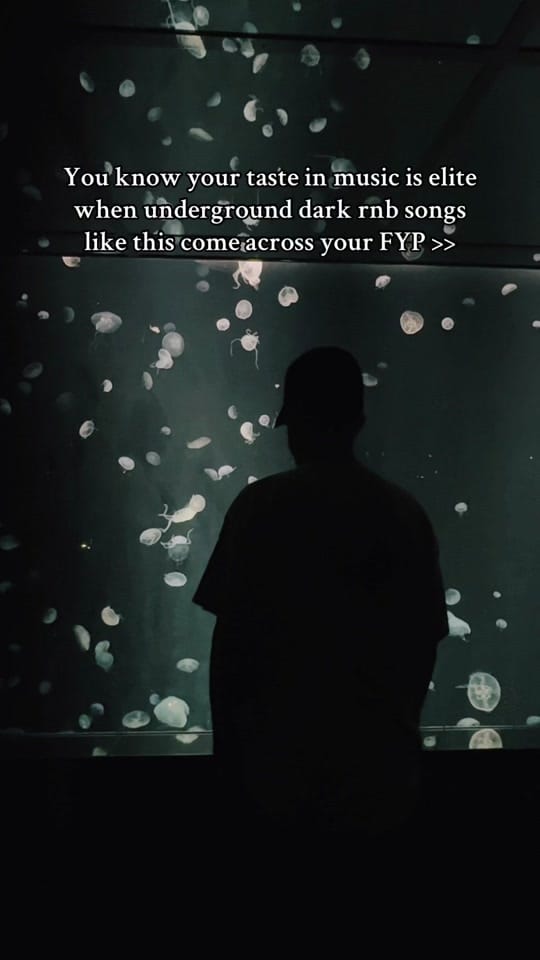 Post 8 by SAFE TRVLS on TikTok (video)