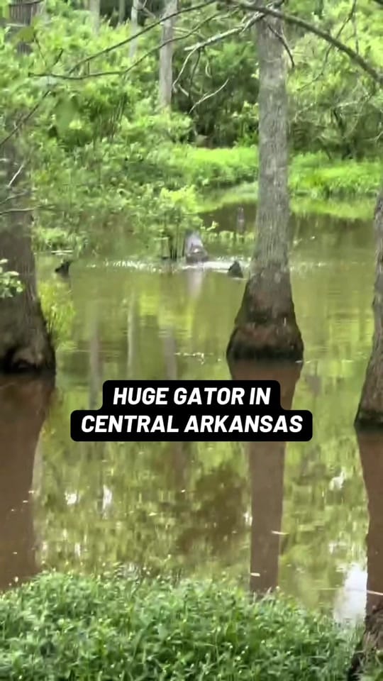 Post 7 by Zachary Hall, AR Storm Tracker on TikTok (video)