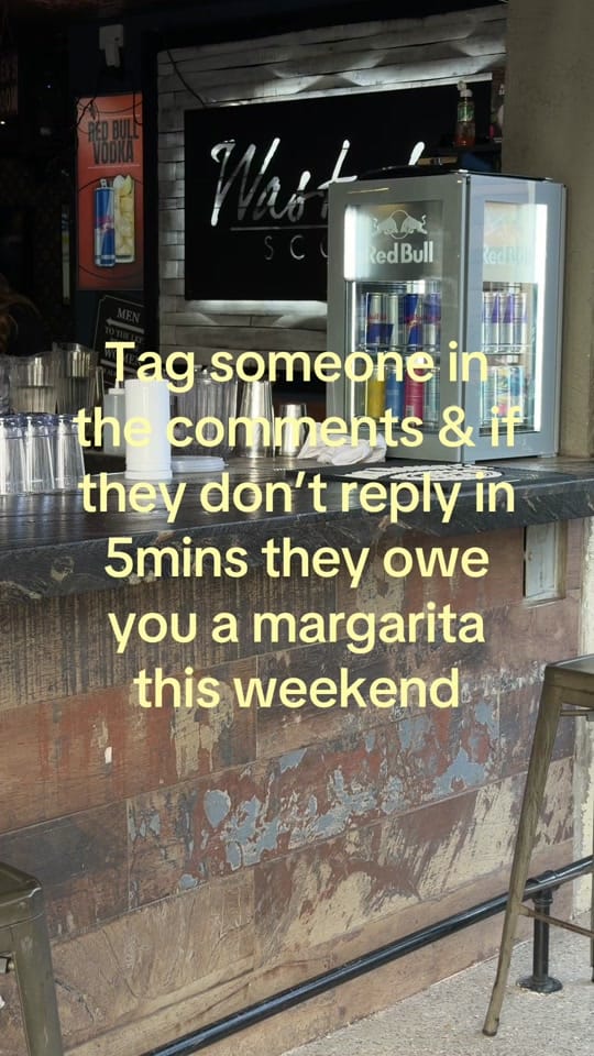 Post 5 by wastedgrainscottsdale on TikTok (video)