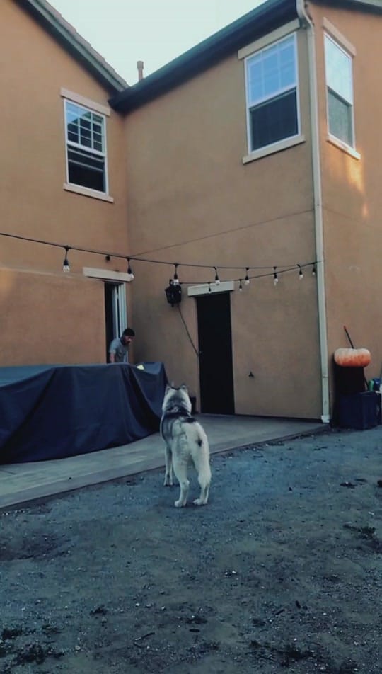 Post 5 by Armystrong831 on TikTok (video)
