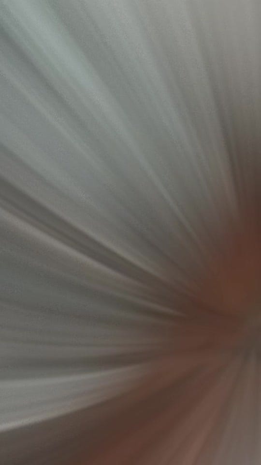 Post 4 by Samuel on TikTok (video)