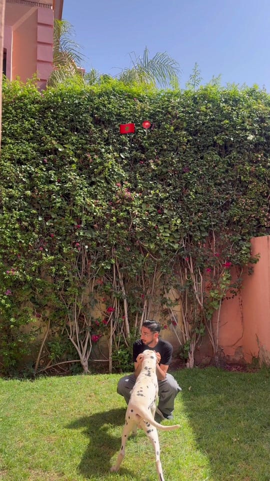 Post 6 by Dr.ahmedlakhdar🦷 on TikTok (video)