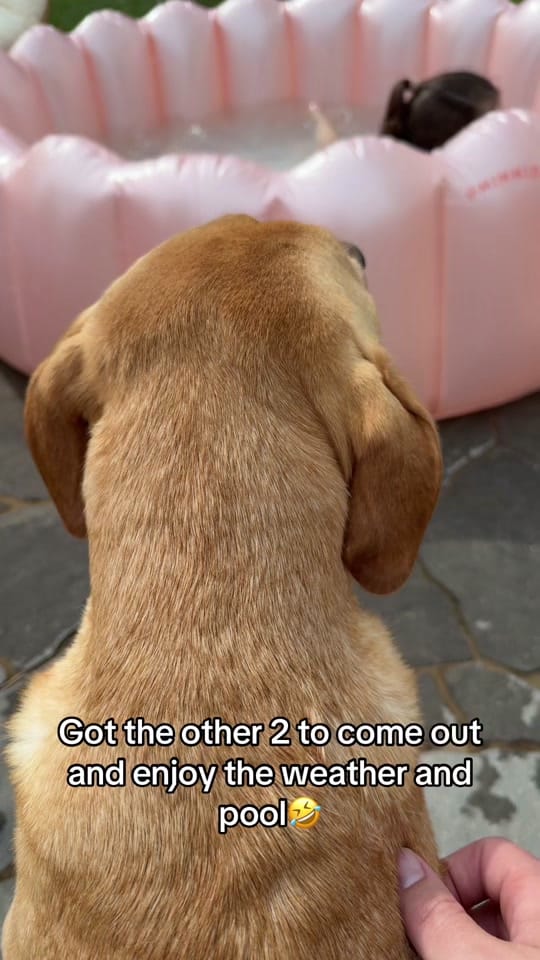Post 5 by Drew Parrish on TikTok (video)