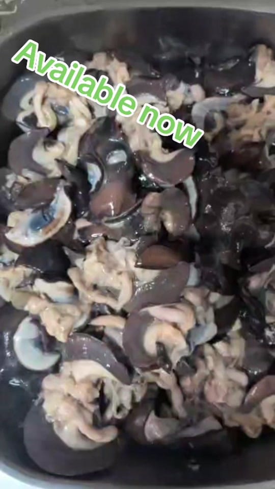 Post 3 by rejoicespace on TikTok (video)