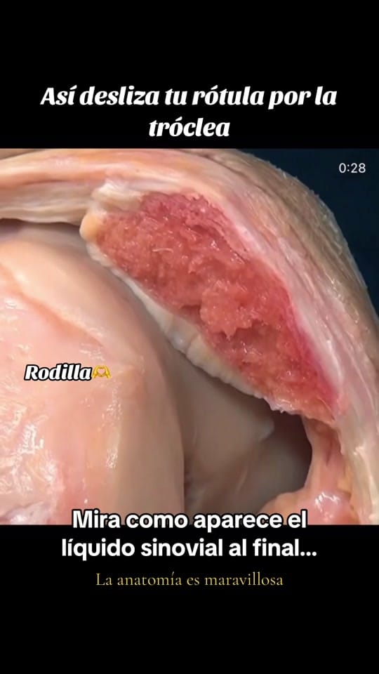 Post 9 by Jesús Casilda on TikTok (video)