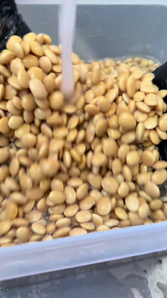 Post 10 by Marinita on TikTok (video)