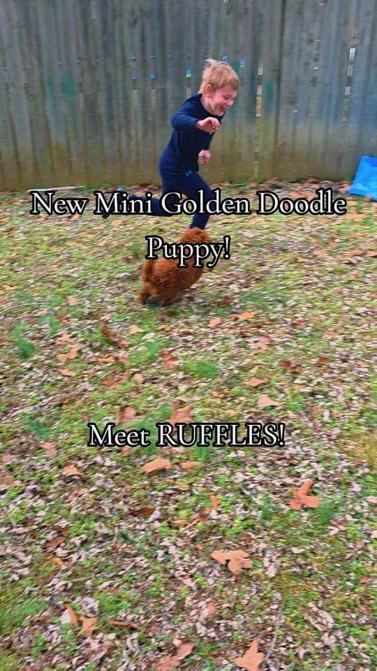 Post 3 by David MIchael Wilson on TikTok (video)