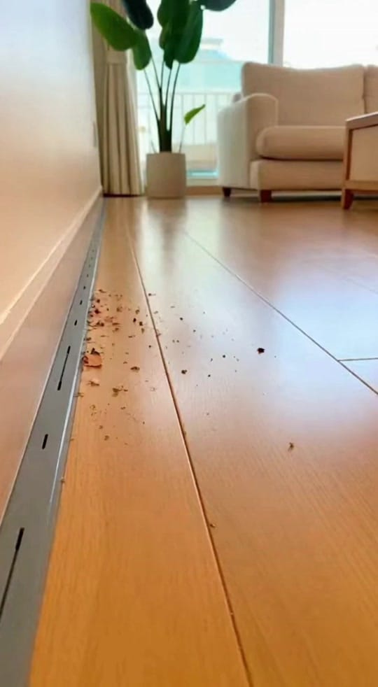 Post 5 by David MIchael Wilson on TikTok (video)
