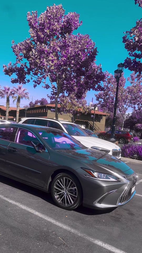 Post 3 by Taxi502 on TikTok (video)
