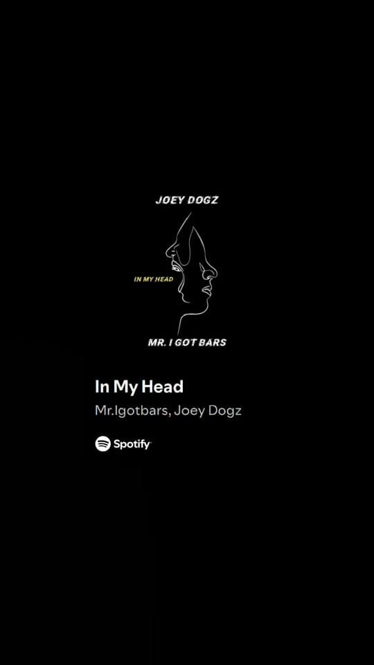 Post 1 by Joey Dogz on TikTok (video)