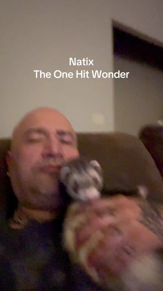 Post 5 by Joey Dogz on TikTok (video)