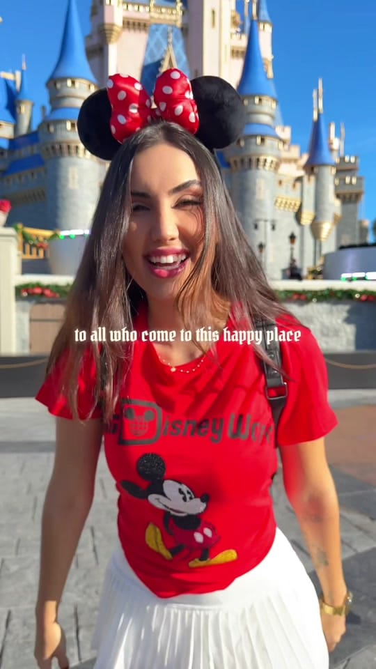 Post 4 by Maria Alice Felix on TikTok (video)