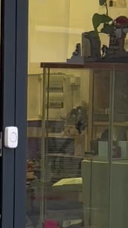 Post 1 by Picoypincel on TikTok (video)