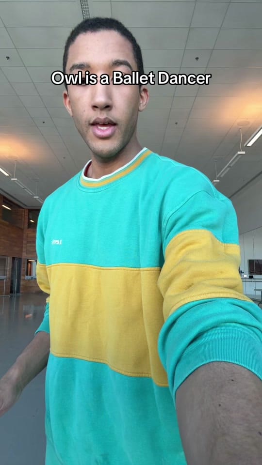Post 8 by theharperwatters on TikTok (video)