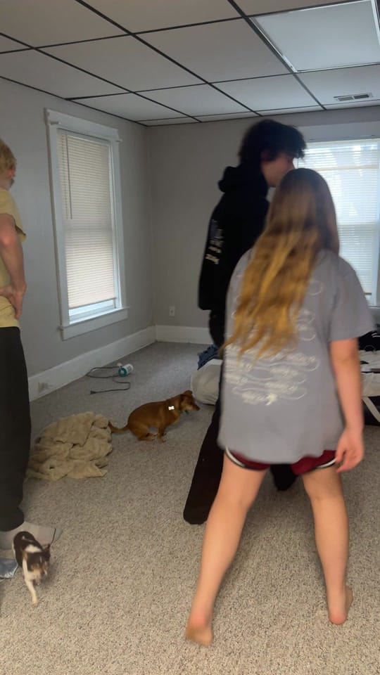 Post 10 by Erin Stoll Music on TikTok (video)